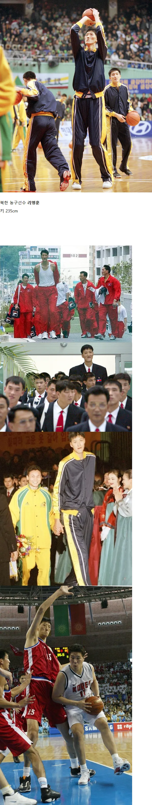 현재 한반도에서 가장 키가 큰 사람