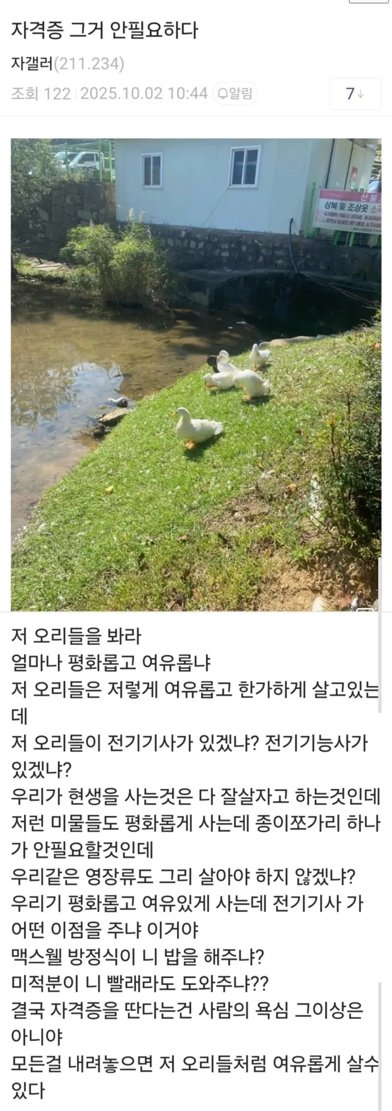 시험 떨어져서 현타온 디씨인