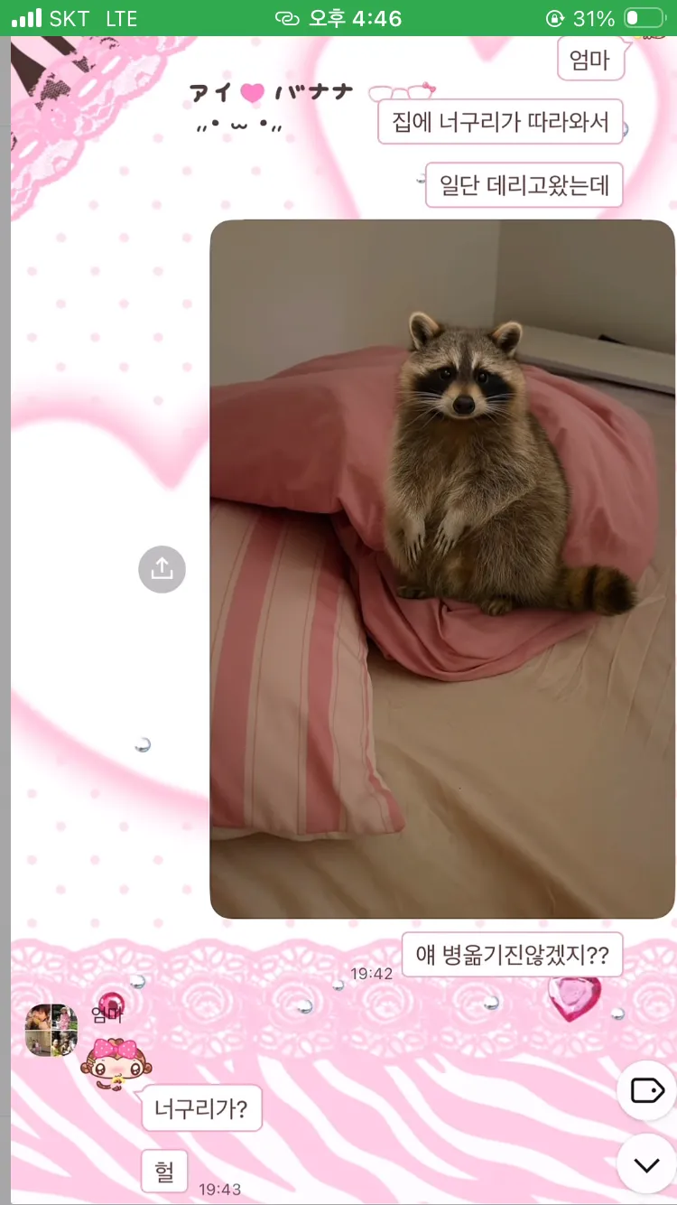 AI로 엄마에게 집에 너구리 들어왔다고 속이기 ㅋㅋㅋㅋ