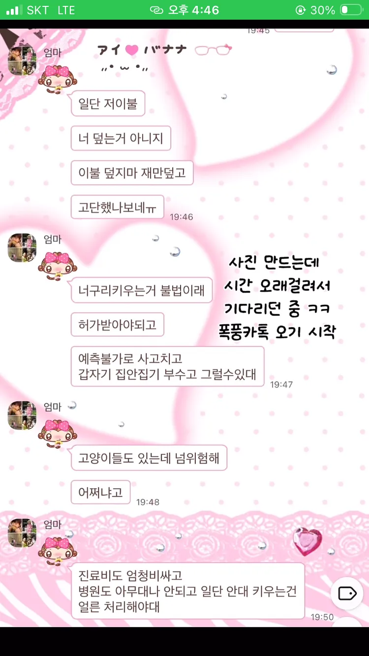 AI로 엄마에게 집에 너구리 들어왔다고 속이기 ㅋㅋㅋㅋ