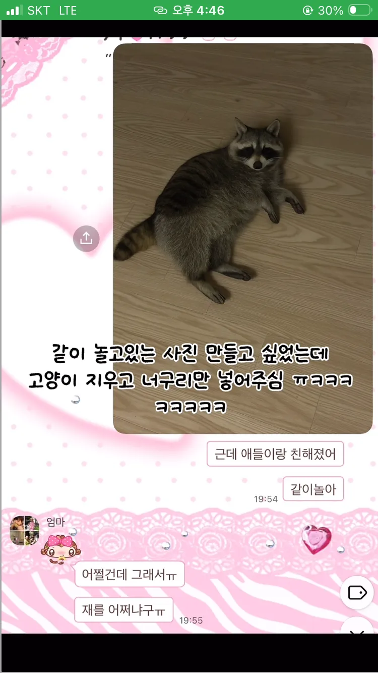 AI로 엄마에게 집에 너구리 들어왔다고 속이기 ㅋㅋㅋㅋ