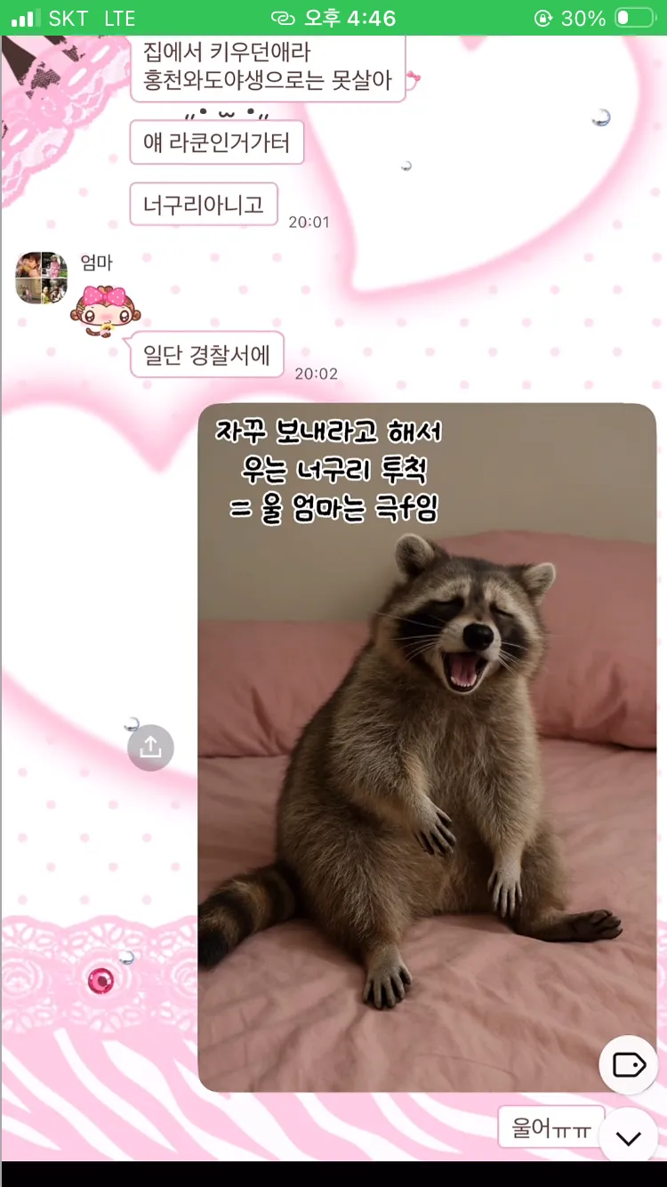 AI로 엄마에게 집에 너구리 들어왔다고 속이기 ㅋㅋㅋㅋ