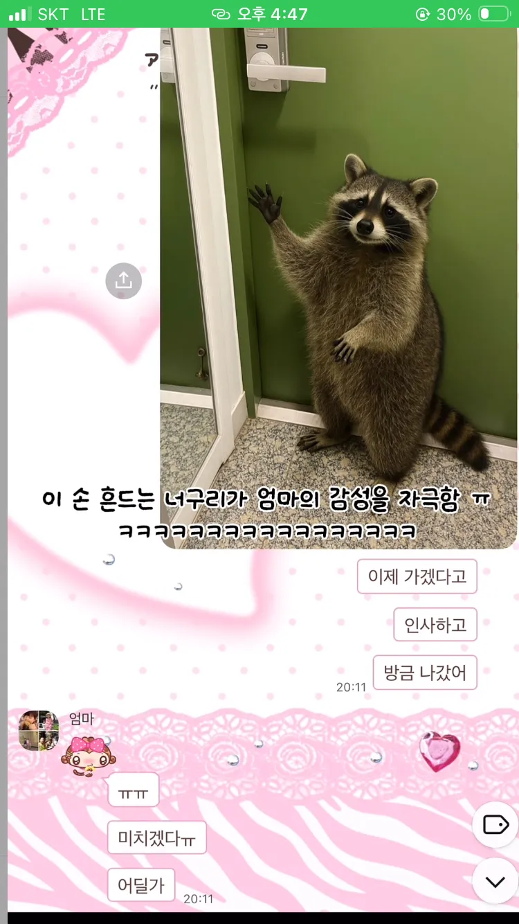 AI로 엄마에게 집에 너구리 들어왔다고 속이기 ㅋㅋㅋㅋ