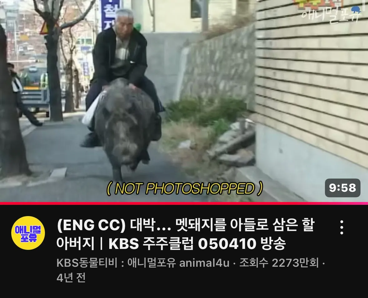 내 기준 유튜브 썸네일 원탑