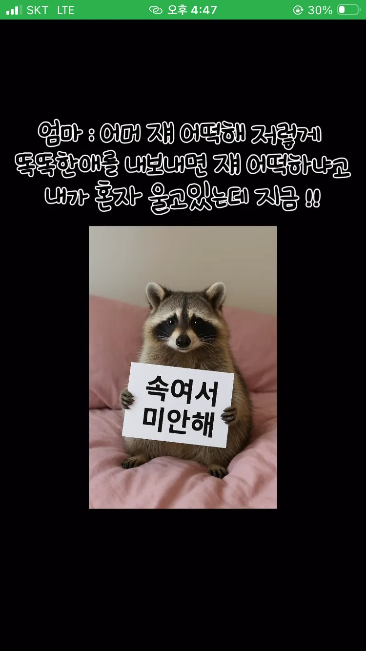 AI로 엄마에게 집에 너구리 들어왔다고 속이기 ㅋㅋㅋㅋ