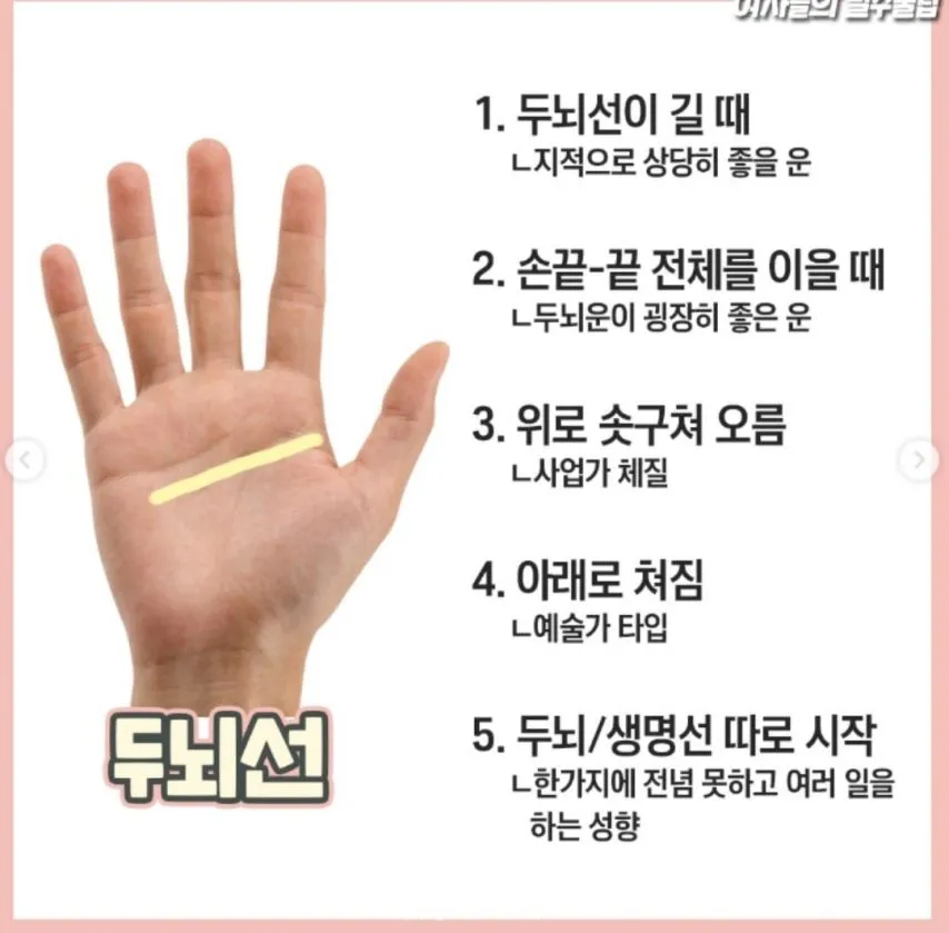 재미로 보는 손금 보는 방법