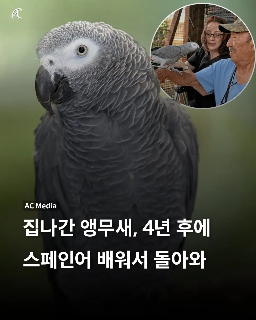의외로 어학연수 가능함;