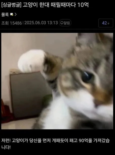 고양이 한대 때릴때마다 10억