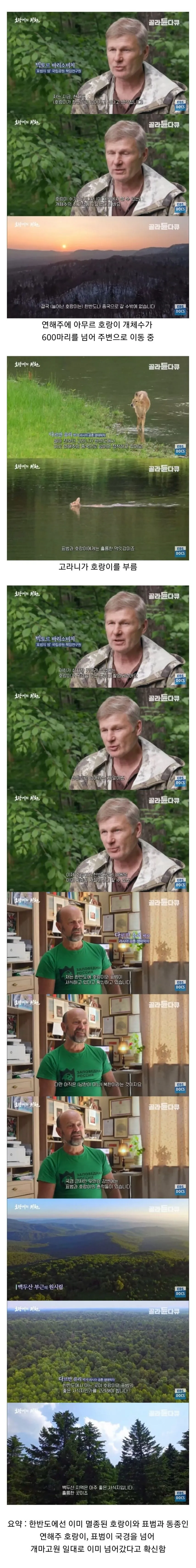 한반도로 서식지를 옮기고 있다는 맹수들.jpg