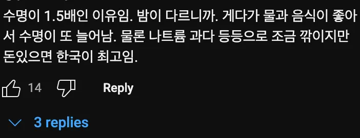 외국인들이 동경하는 한국🇰🇷생활
