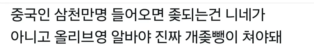 중국인 삼천만명오면 진짜 ㅈ되는사람