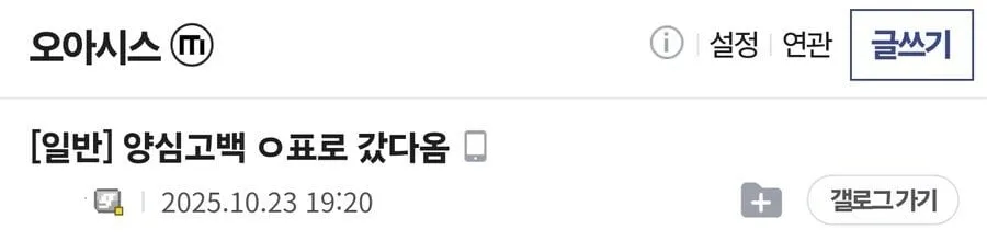 오아시스 공연 암표로 다녀왔다는 디시인