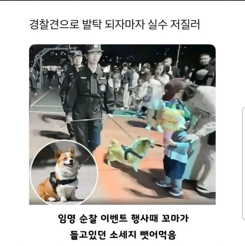 견찰 수준 ㄷㄷㄷ. 신입부터 공권력으로 해쳐먹네