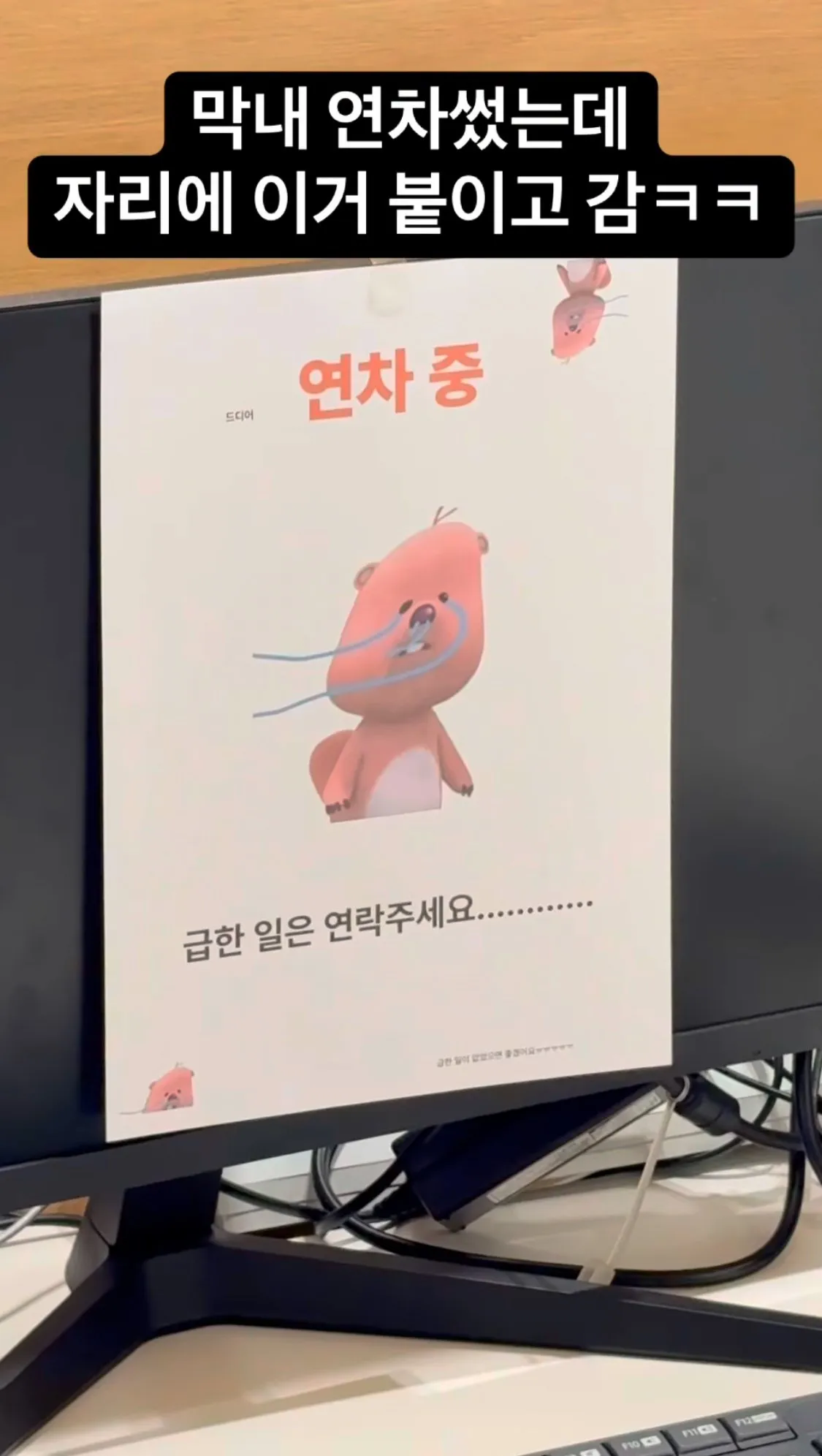첫 연차 쓴 회사 막내 모니터에 붙여진 사진