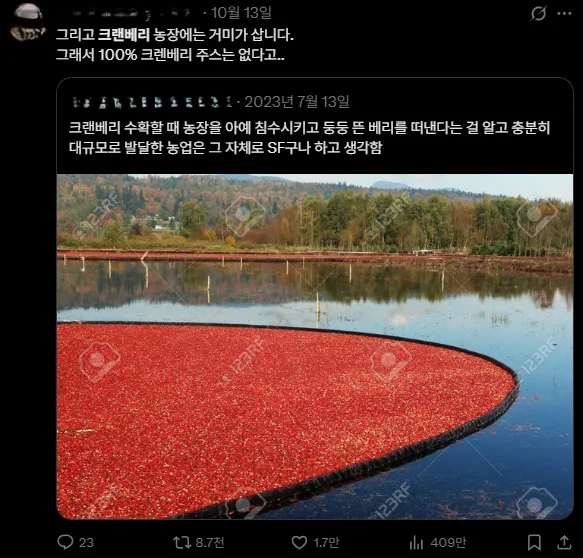 100% 크랜베리 주스는 없다는 이유 ㄷㄷ