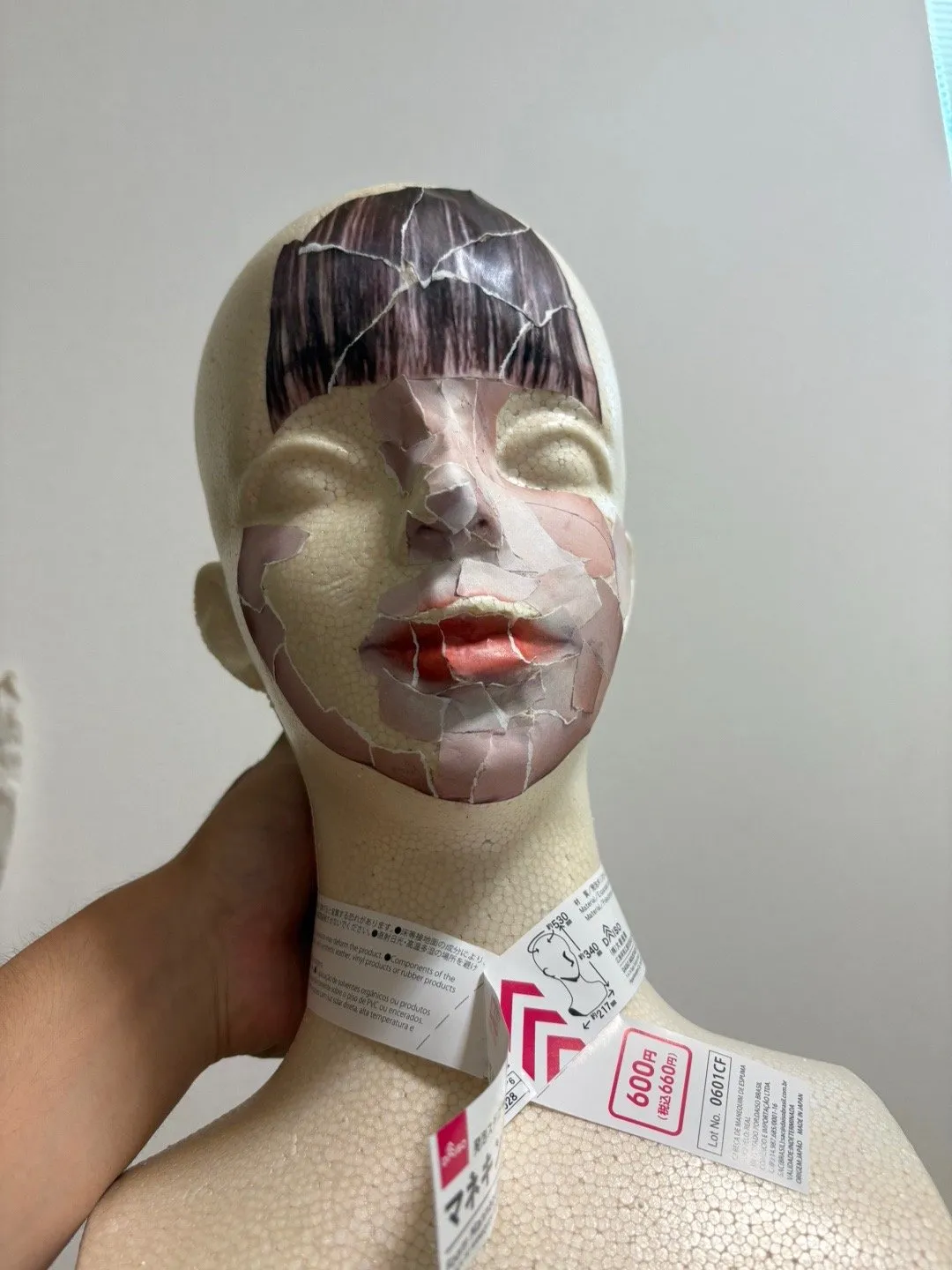 좋아하는 사람이나 좋아하는 연예인을 집에서 매일 만나는 방법을 만든 일본인 . Jpg