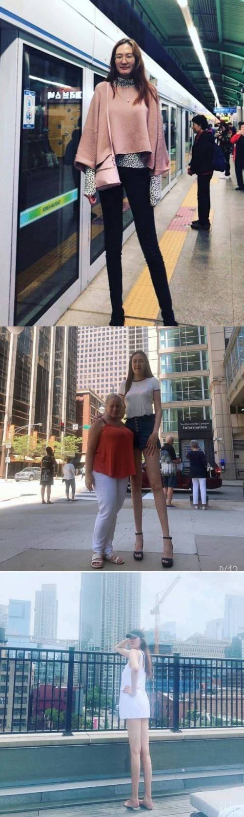 210cm 여성 실제 체감 ㄷㄷ