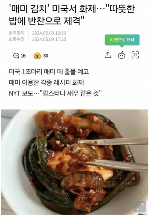 ‘매미 김치’ 미국서 화제... ”따뜻한 밥에 반찬으로 제격“