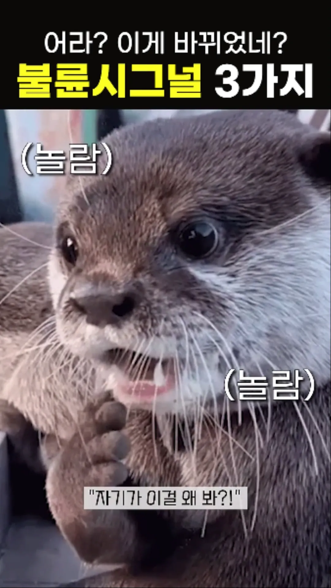 불륜을 의심할 수 있는 신호들 알려드림 jpg