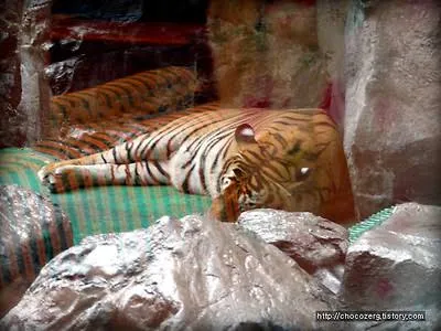 옛날 부산 롯데호텔에 호랑이 살았다고 하면 아무도 안믿음