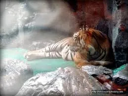 옛날 부산 롯데호텔에 호랑이 살았다고 하면 아무도 안믿음