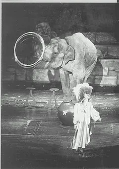 옛날 부산 롯데호텔에 호랑이 살았다고 하면 아무도 안믿음