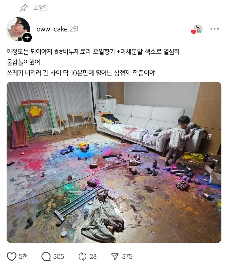 쓰레기 버리러 간 사이 딱 10분만에 일어난 삼형제 작품