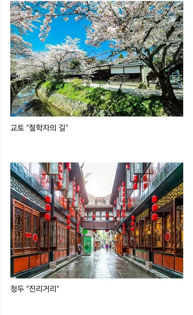 세계에서 제일 예쁜 길이라고 함.jpg