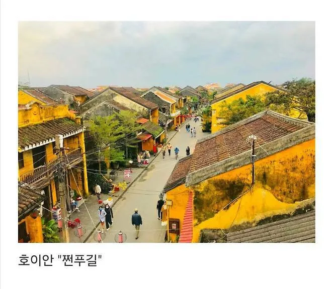 세계에서 제일 예쁜 길이라고 함.jpg