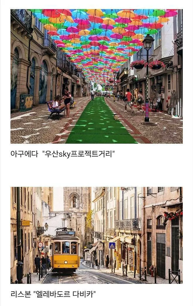 세계에서 제일 예쁜 길이라고 함.jpg