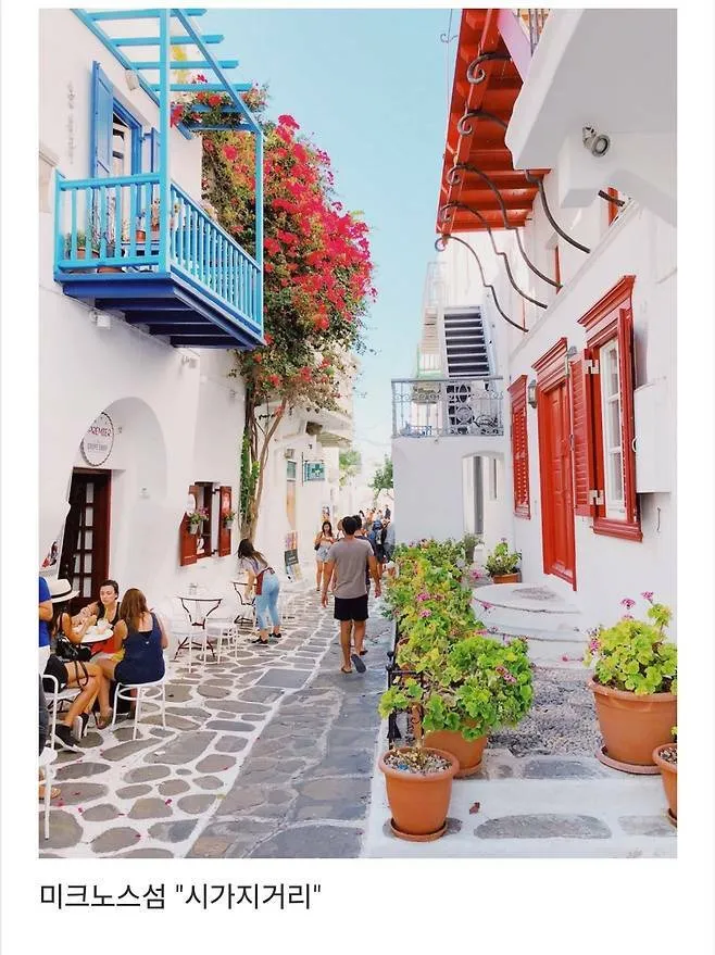 세계에서 제일 예쁜 길이라고 함.jpg