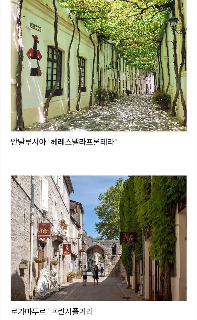 세계에서 제일 예쁜 길이라고 함.jpg