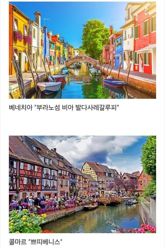 세계에서 제일 예쁜 길이라고 함.jpg