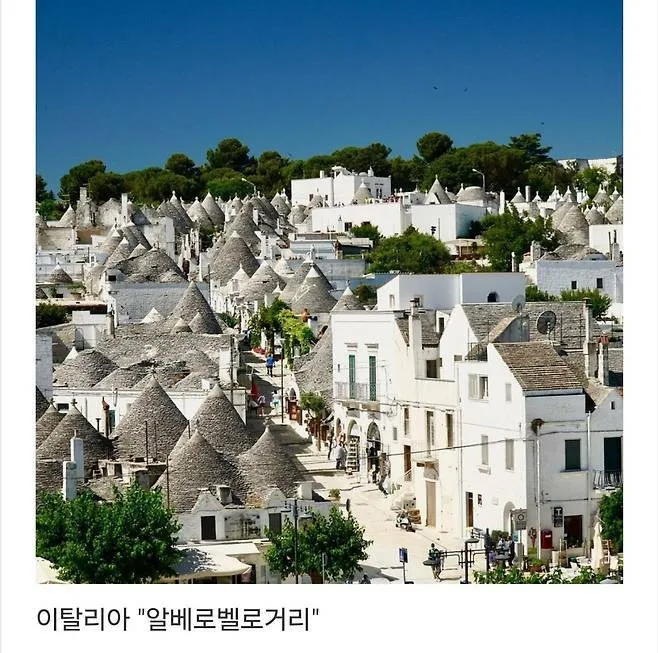 세계에서 제일 예쁜 길이라고 함.jpg