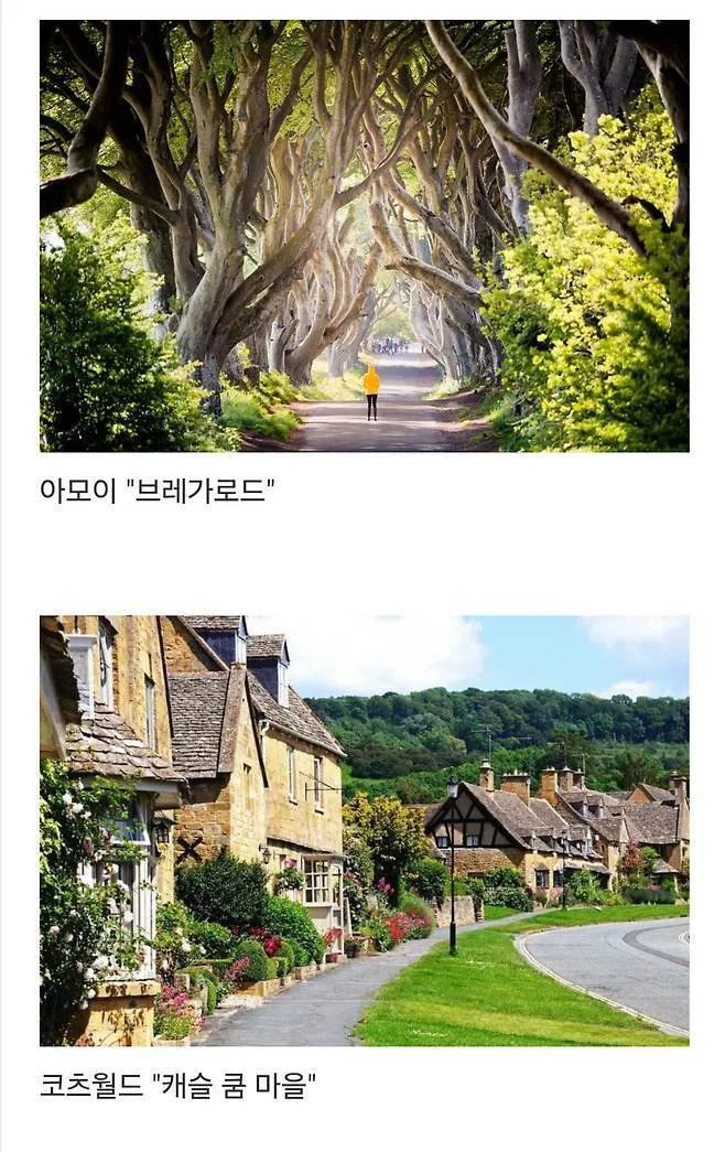 세계에서 제일 예쁜 길이라고 함.jpg