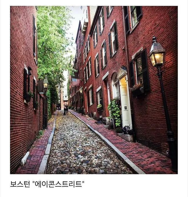 세계에서 제일 예쁜 길이라고 함.jpg