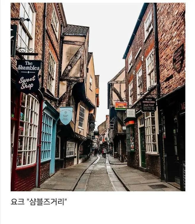 세계에서 제일 예쁜 길이라고 함.jpg