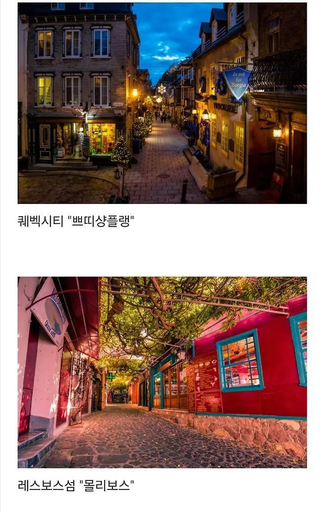 세계에서 제일 예쁜 길이라고 함.jpg