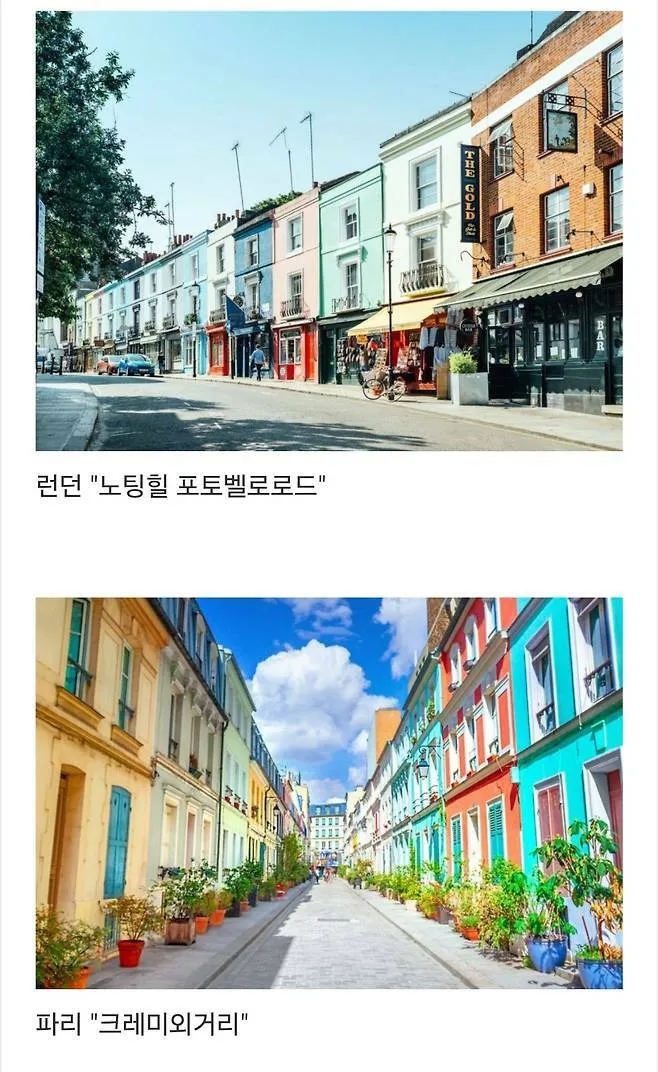 세계에서 제일 예쁜 길이라고 함.jpg