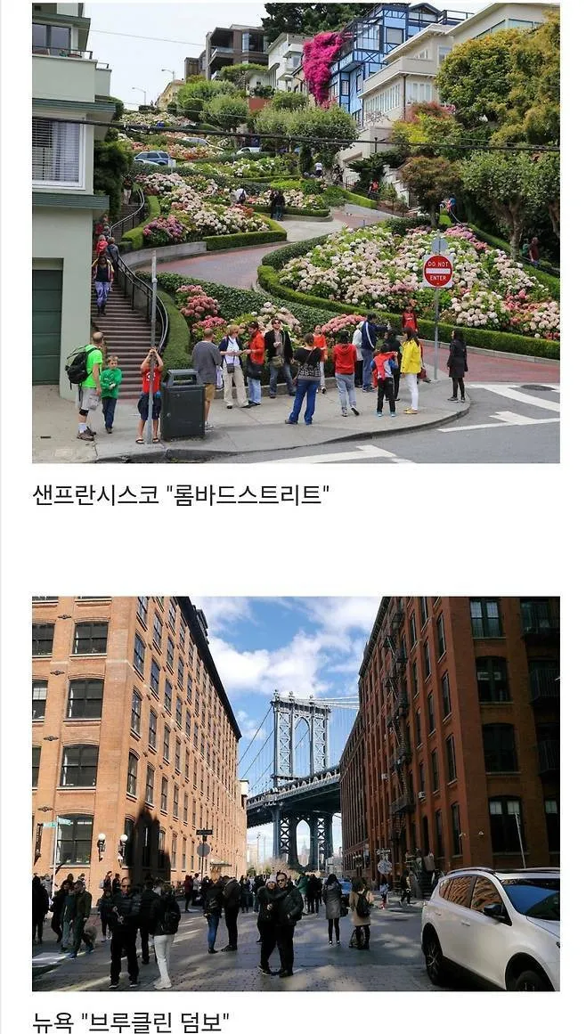 세계에서 제일 예쁜 길이라고 함.jpg