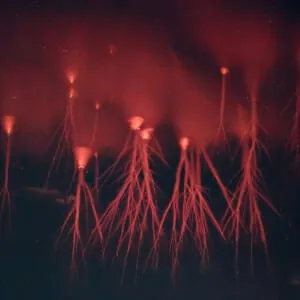 옛날 사람들이 봤으면 기절 할 붉은 번개.jpg