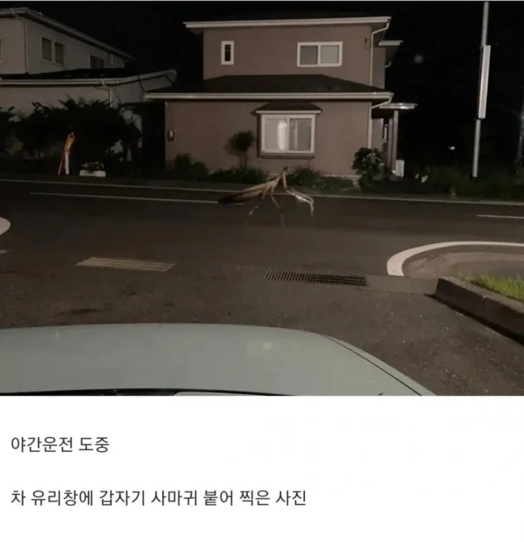 갑자기 분위기 호러