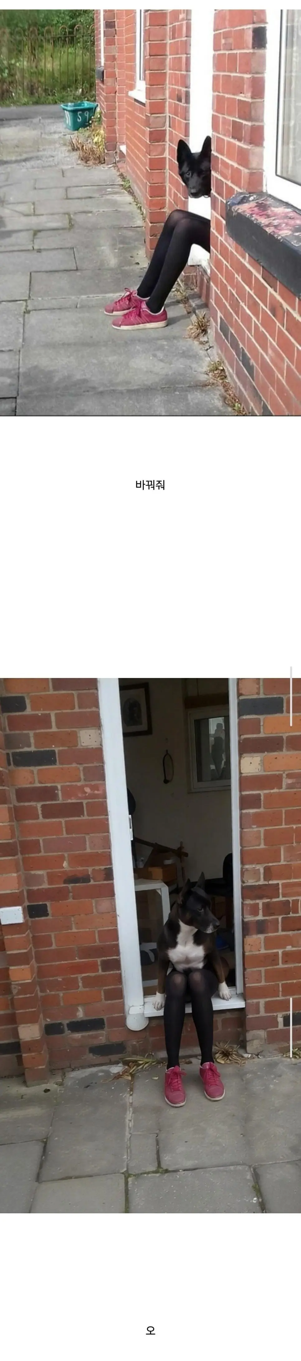 AI야 사진을 정면 각도로 보여줘