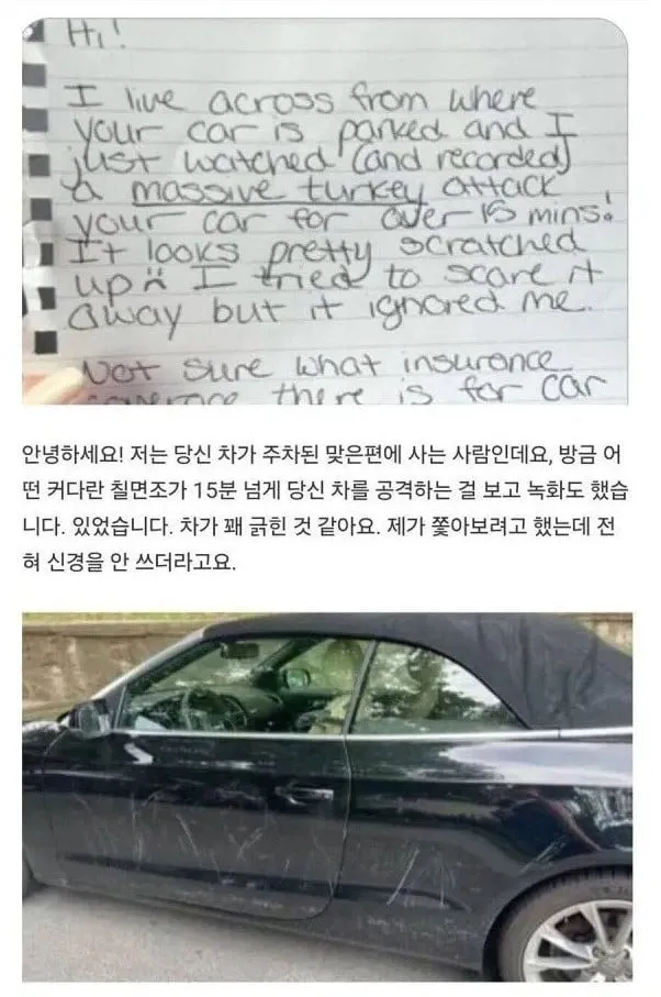 주차된 차가 긁혔는데 남겨진 쪽지