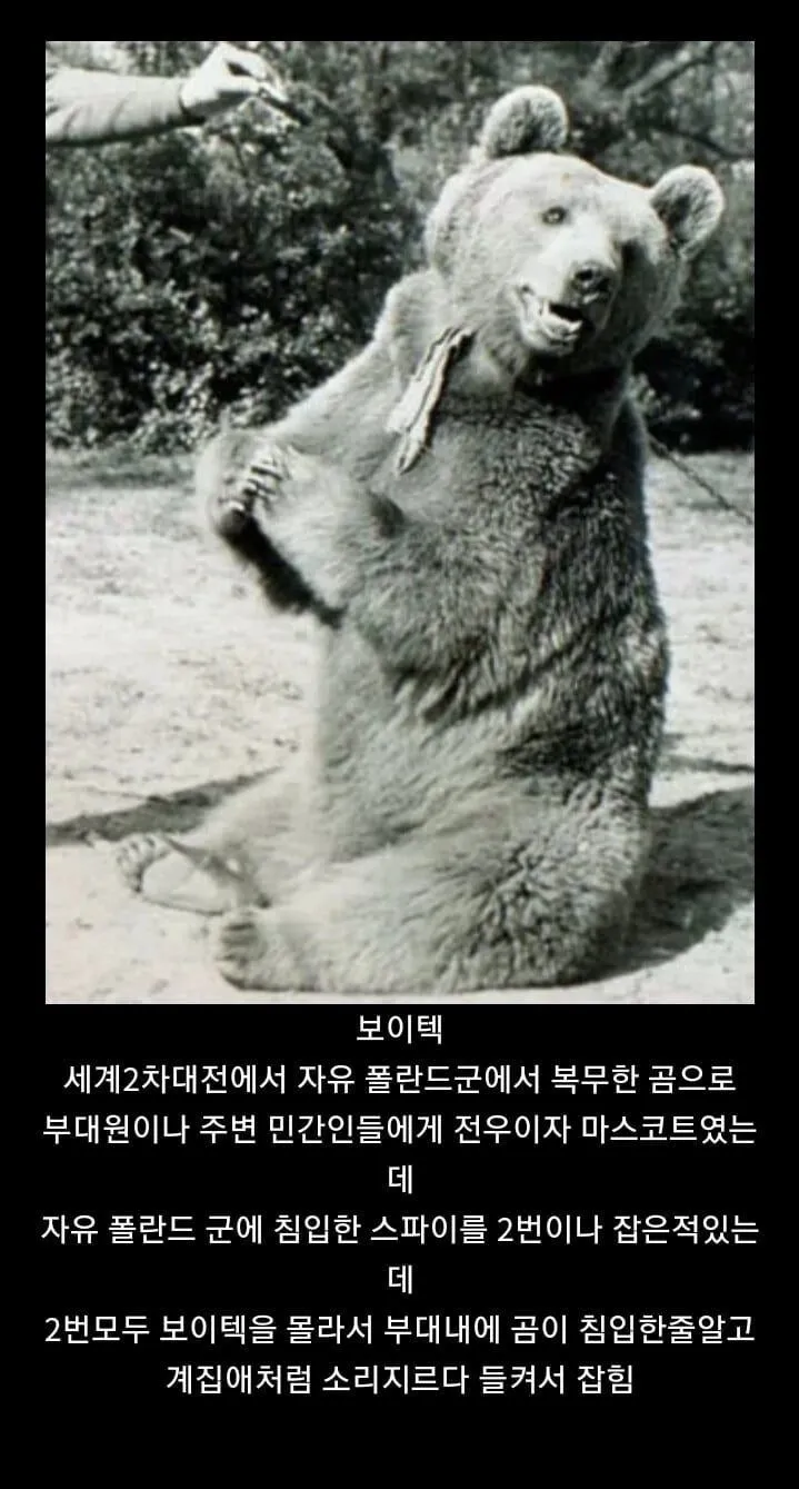 모르면 간첩이다. 실화