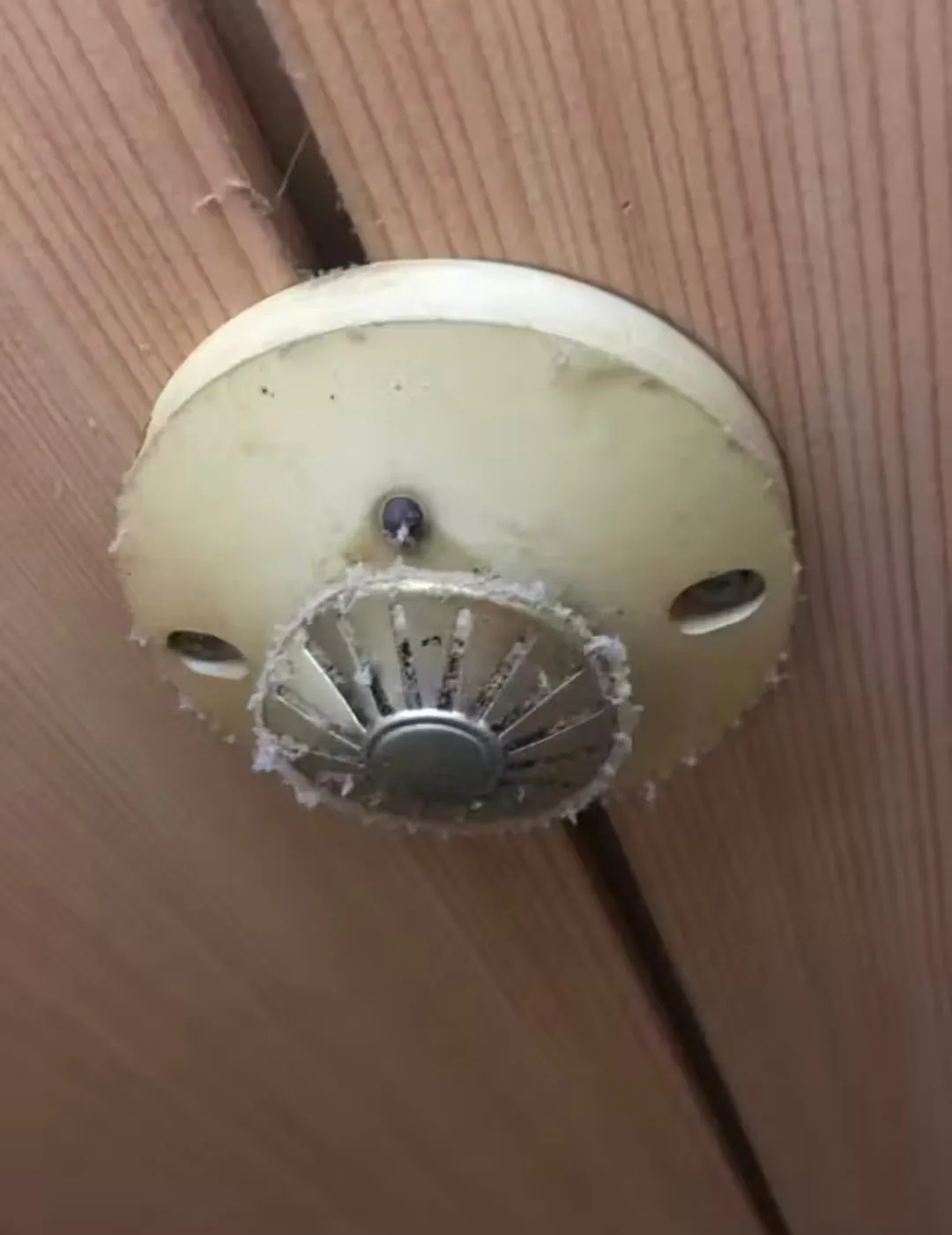 일본 오사카에 있는 1박 15,000원 하는 호텔