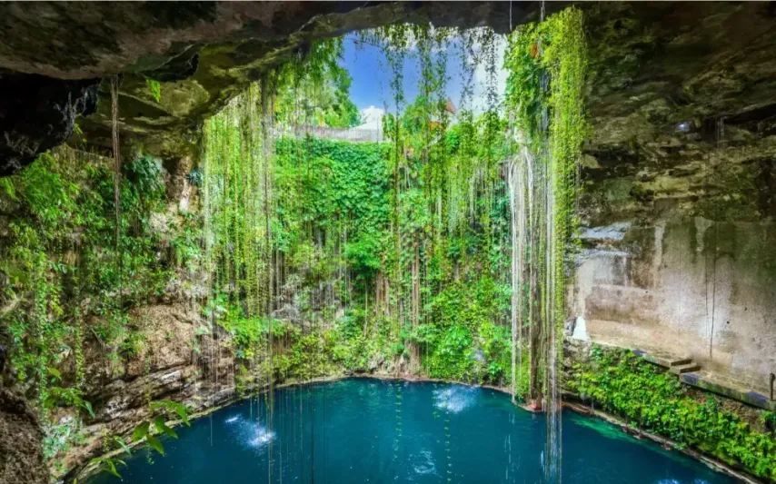 전세계의 오싹한 표지판들과 그 해설