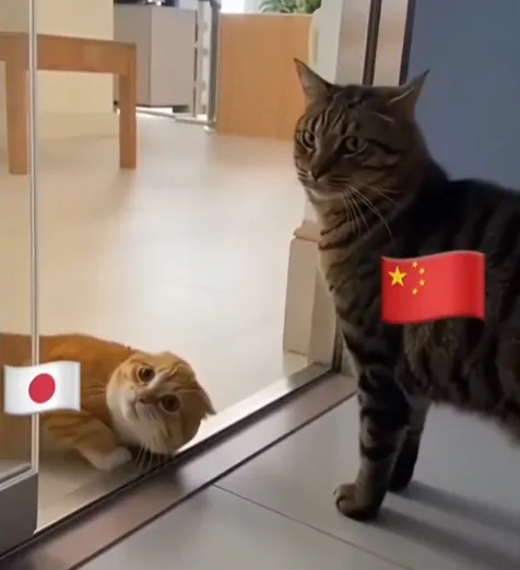 일본인이 생각하는 중-일 관계도