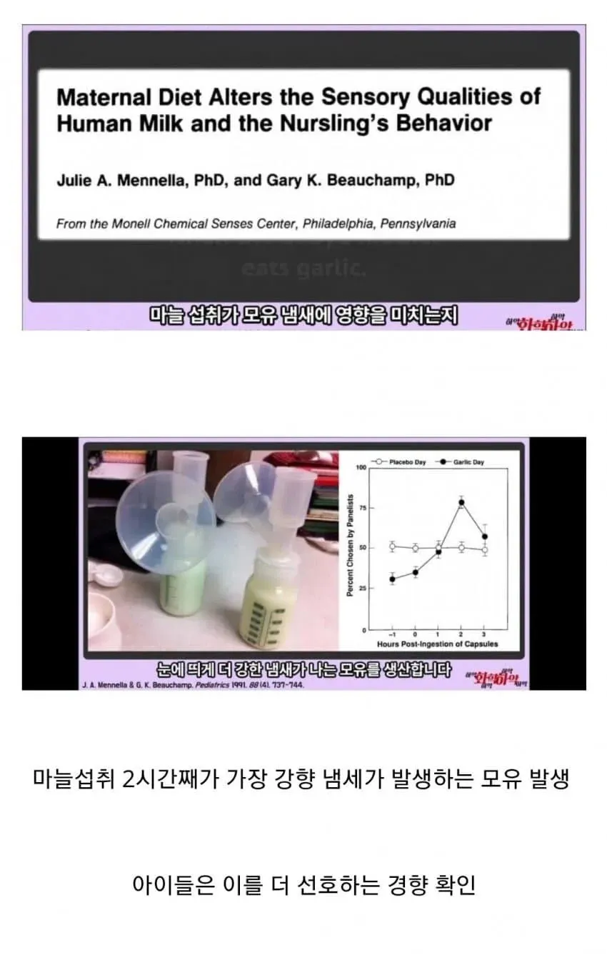 마늘이 모유에 미치는 영향
