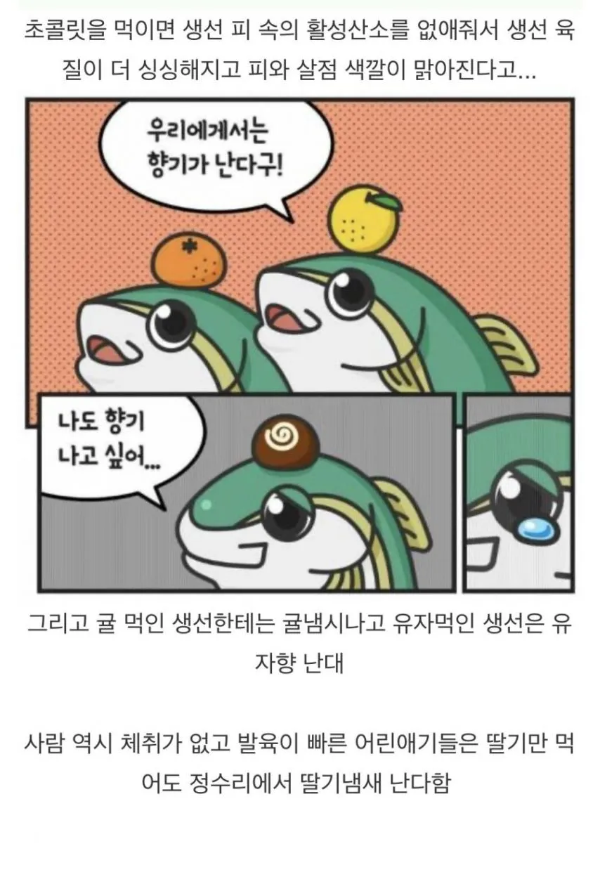 의외로 생선이 먹는 음식